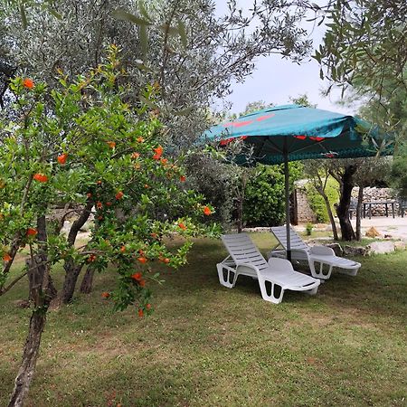 דירות פאז'אנה Marti'S House In The Olive Grove מראה חיצוני תמונה