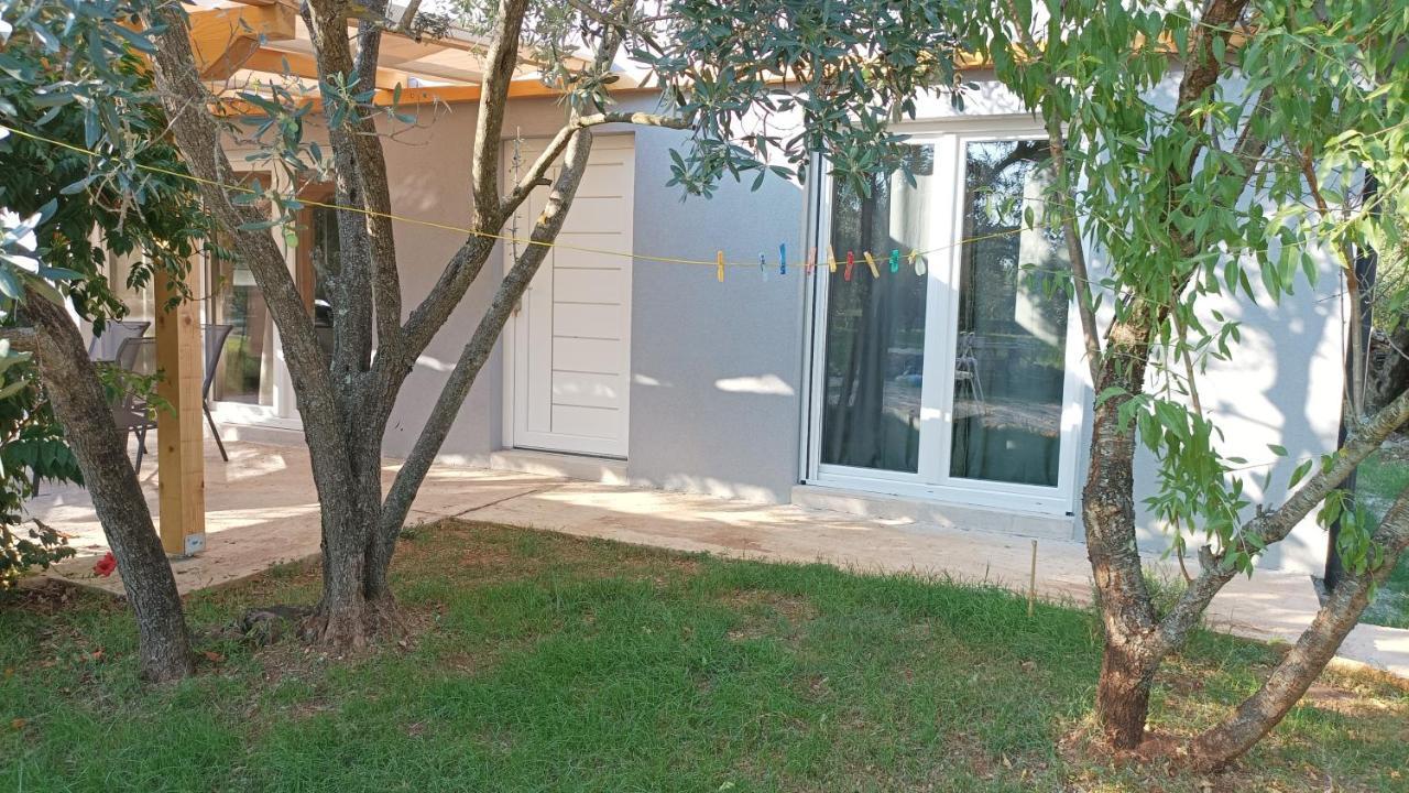 דירות פאז'אנה Marti'S House In The Olive Grove מראה חיצוני תמונה