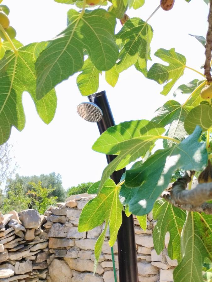 דירות פאז'אנה Marti'S House In The Olive Grove מראה חיצוני תמונה