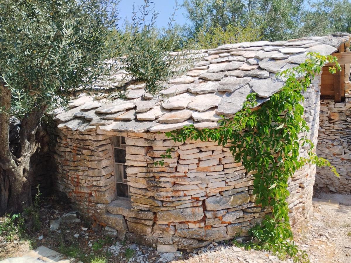 דירות פאז'אנה Marti'S House In The Olive Grove מראה חיצוני תמונה