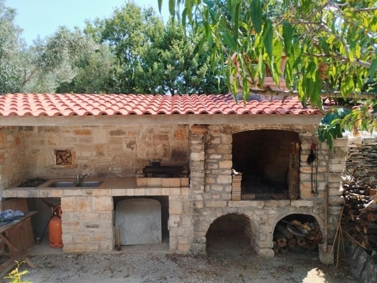 דירות פאז'אנה Marti'S House In The Olive Grove מראה חיצוני תמונה