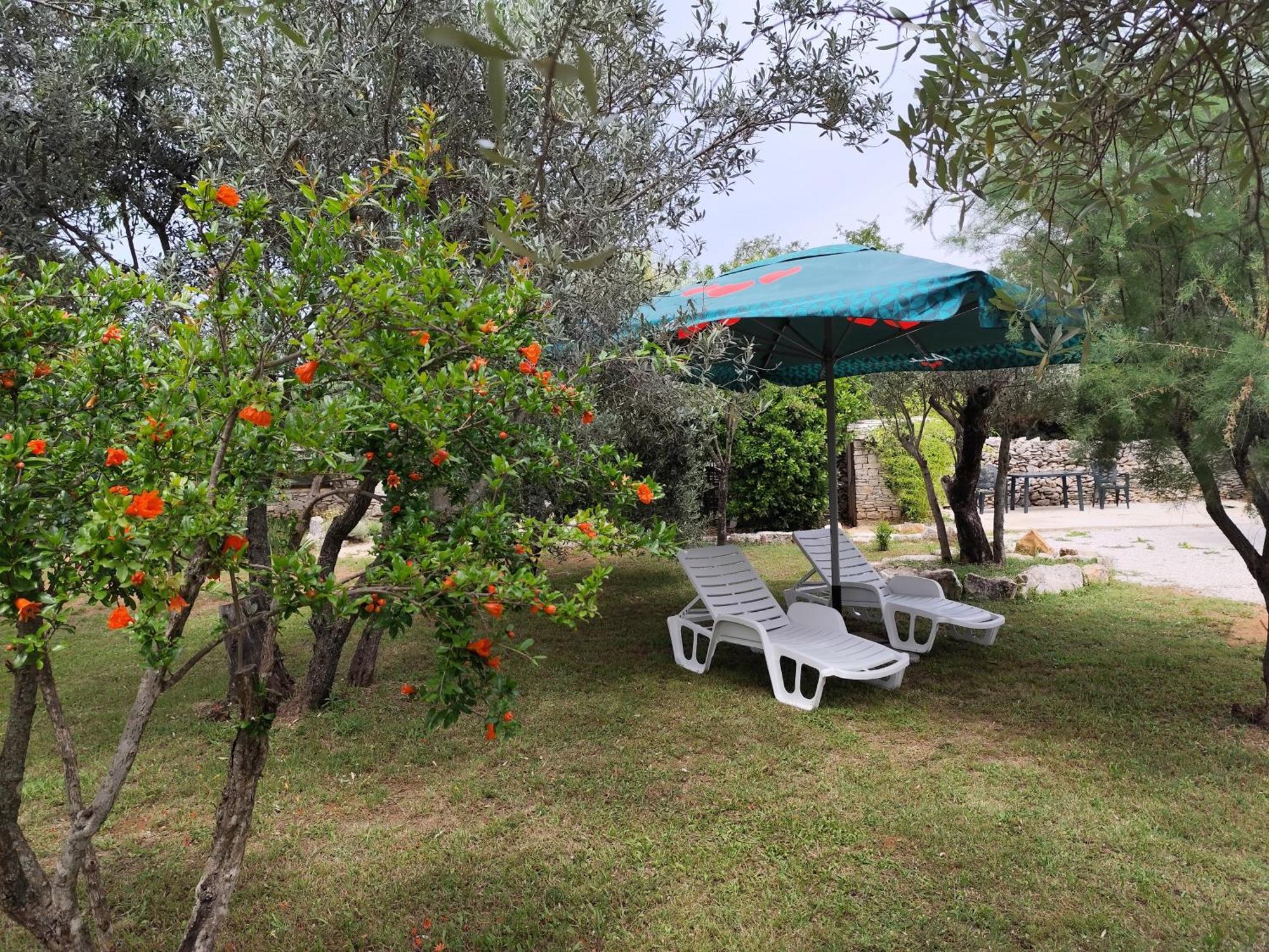דירות פאז'אנה Marti'S House In The Olive Grove מראה חיצוני תמונה