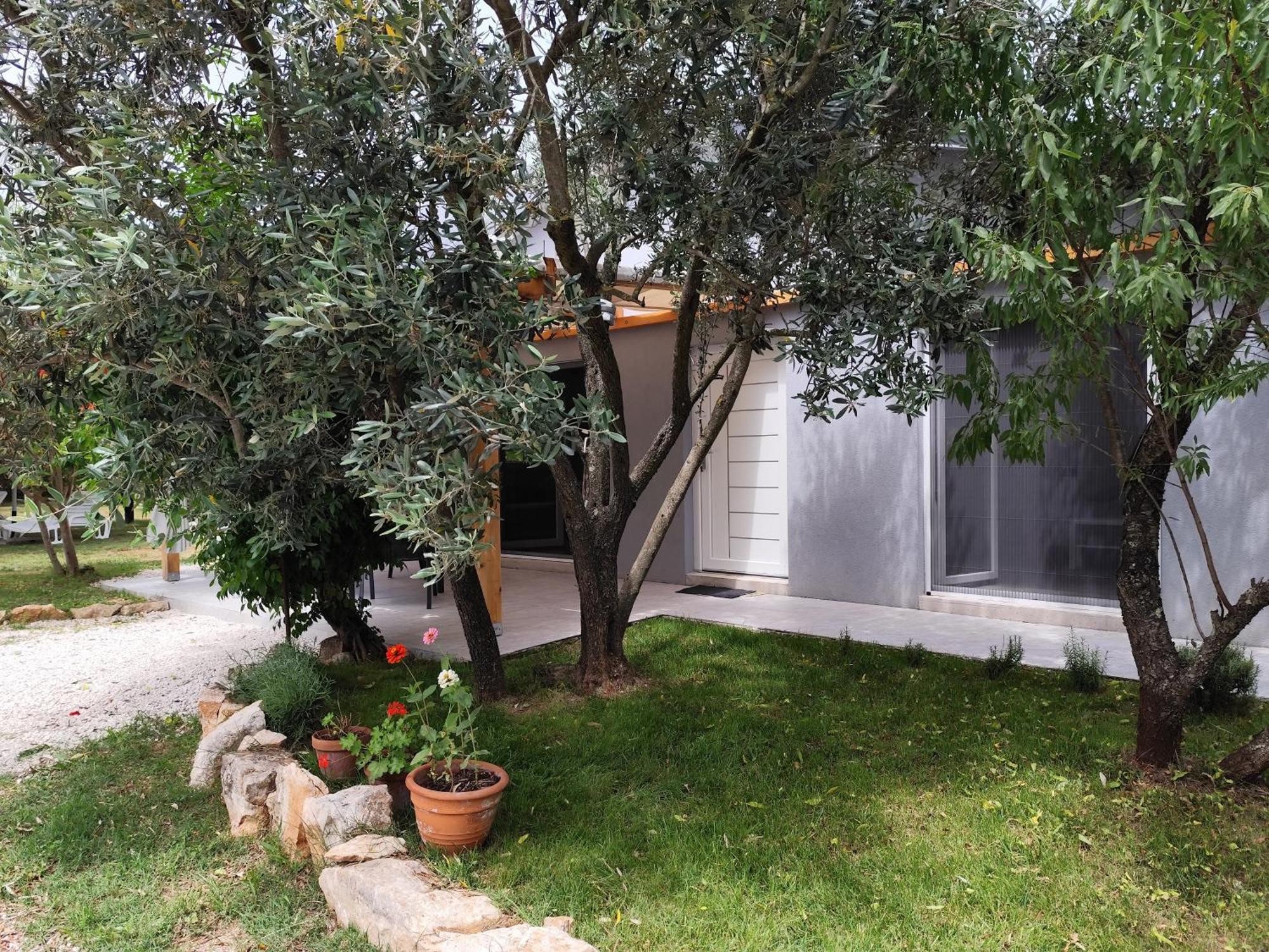 דירות פאז'אנה Marti'S House In The Olive Grove מראה חיצוני תמונה