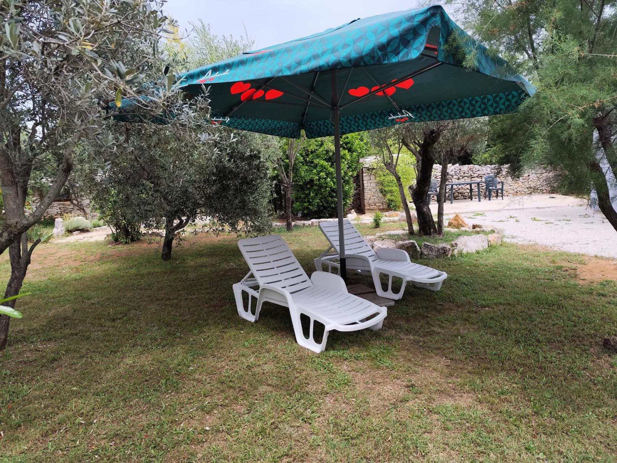 דירות פאז'אנה Marti'S House In The Olive Grove מראה חיצוני תמונה