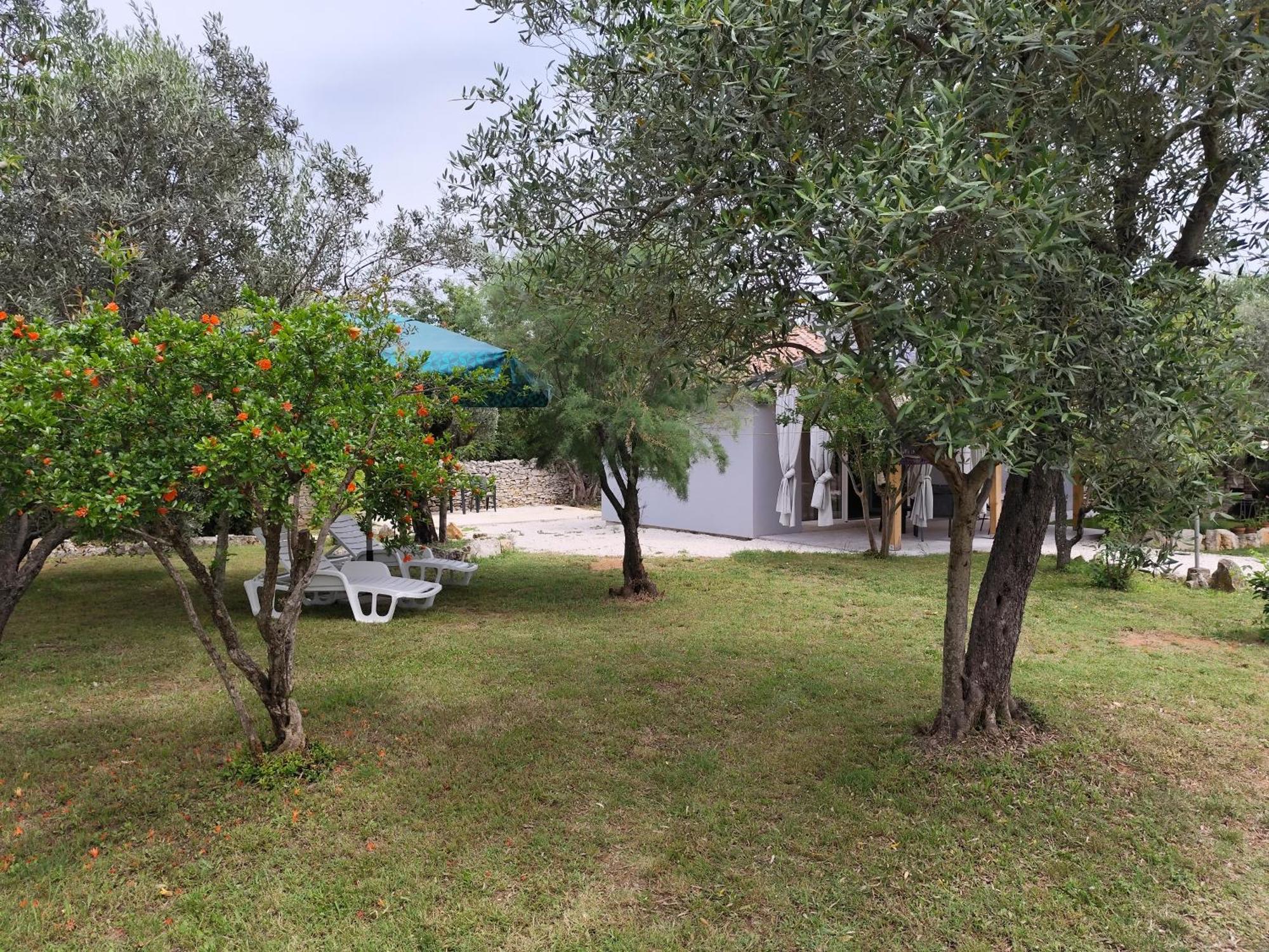דירות פאז'אנה Marti'S House In The Olive Grove מראה חיצוני תמונה